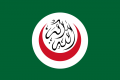 Flag of OIC svg.png
