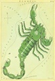 Scorpiopi.jpg