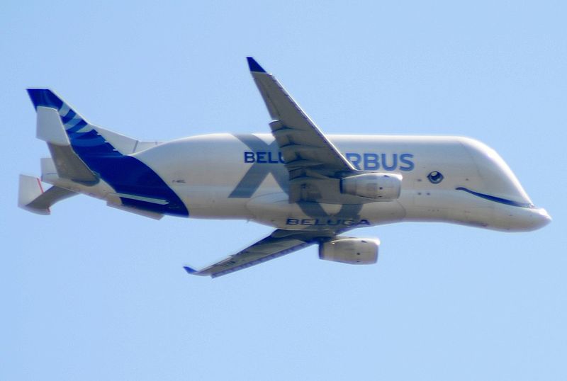 File:F-WBXL A330 Beluga XL.jpg