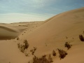 800px-Gobi Desert.jpg