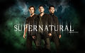 Supernatural-Season-8-Episode-20.jpg