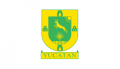 Flag of Yucatan svg.png