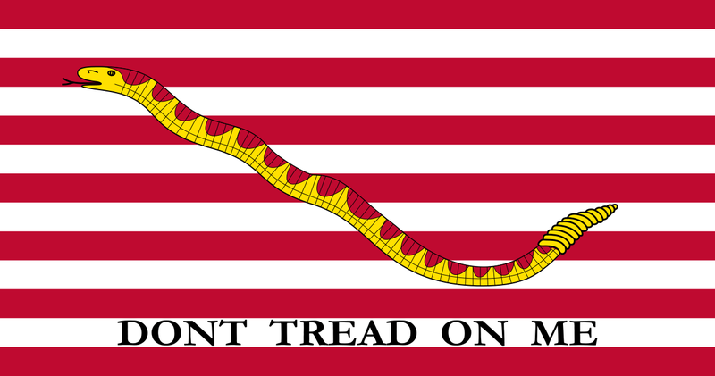File:Naval Jack of the United States svg.png