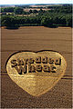 Shredded Wheat 06.jpg